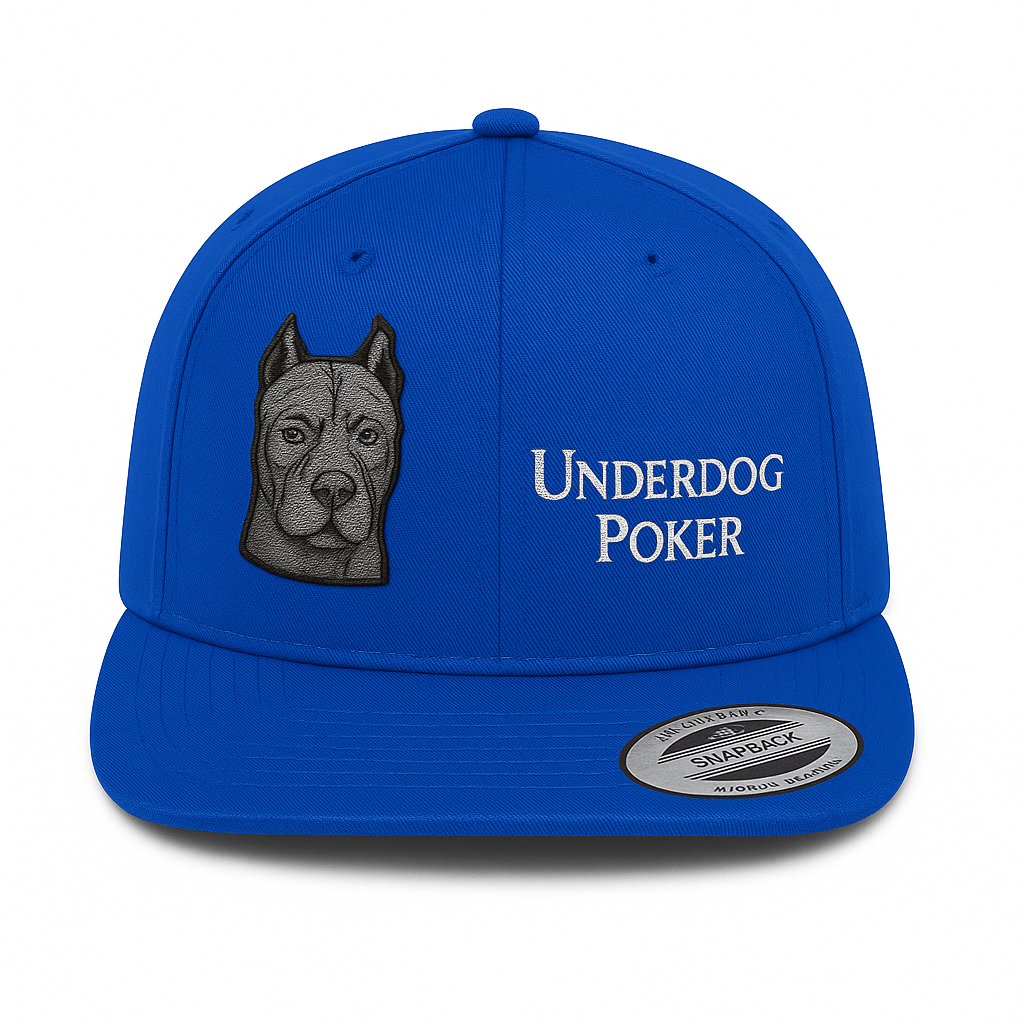 Snapback Hat - Blue