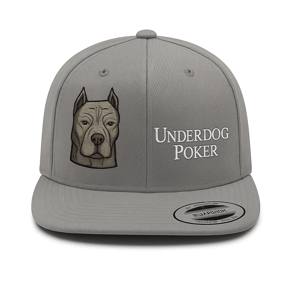 Snapback Hat - Grey
